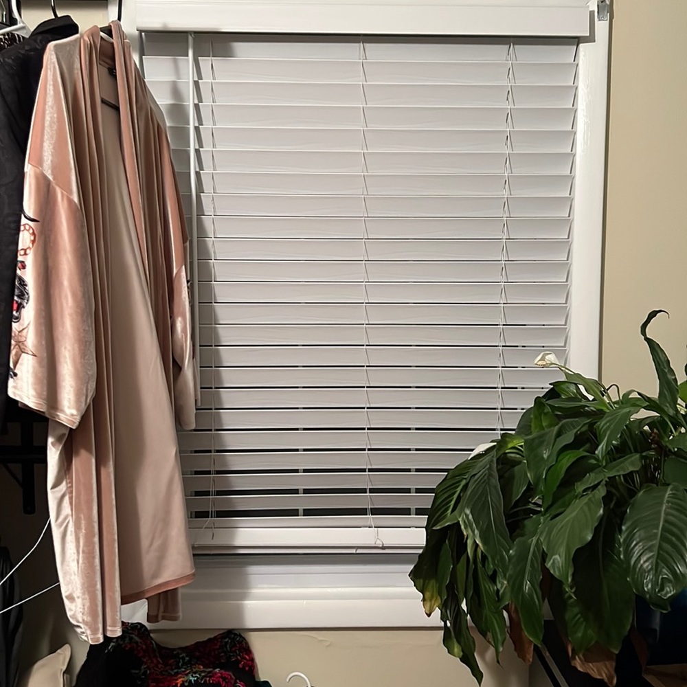 Jaded Velvet Robe Champagne Color with Panther Design Size M/L